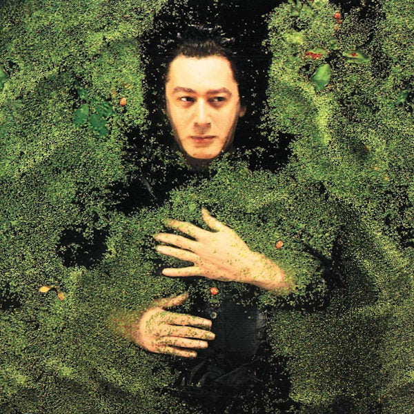 Alain Bashung - Fantaisie militaire (CD) - Discords.nl