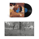 Aldous Harding - Train on the island (LP) - Discords.nl