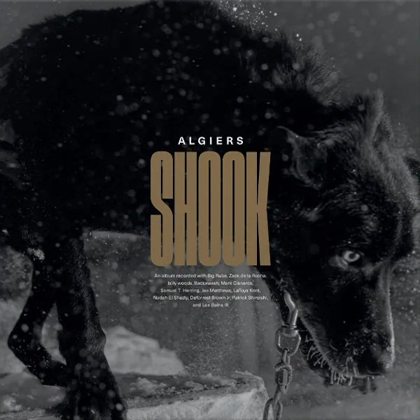 Algiers - Shook (LP) - Discords.nl