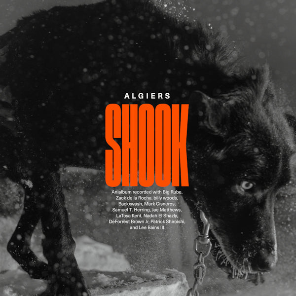 Algiers - Shook (CD) - Discords.nl