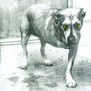 Alice In Chains - Alice in chains (LP) - Discords.nl