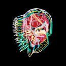 All Them Witches - Nothing as the ideal (CD) - Discords.nl