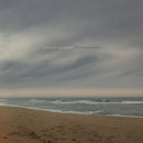 American Aquarium - Chicamacomico (LP) - Discords.nl