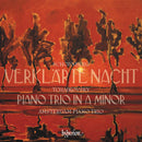 Amsterdam Piano Trio - Tchaikovsky: piano trio / schoenberg: verklarte na (CD)