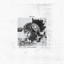 Amulets - Rem(a)inders (CD)
