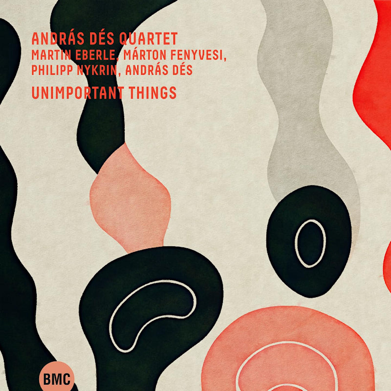 Andras Des Quartet - Unimportant things (CD) - Discords.nl