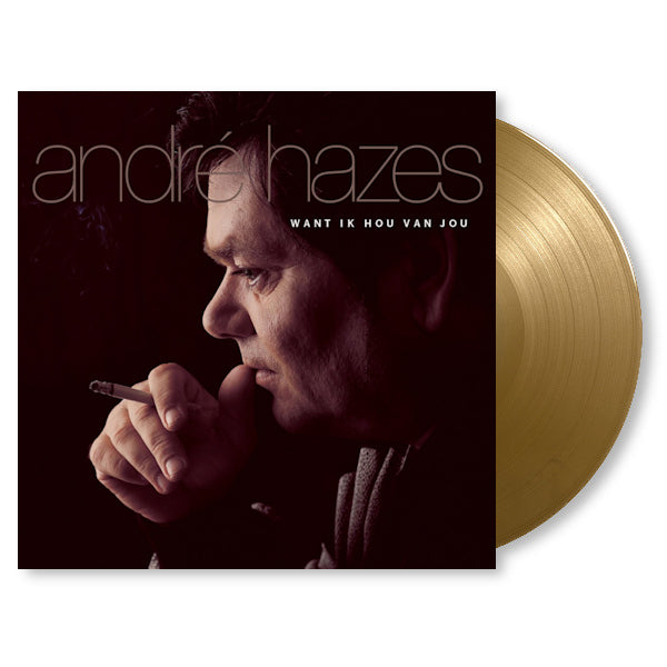 Andre Hazes - Want ik hou van jou (LP) - Discords.nl