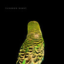Andrew Bird - Armchair apocrypha (CD) - Discords.nl