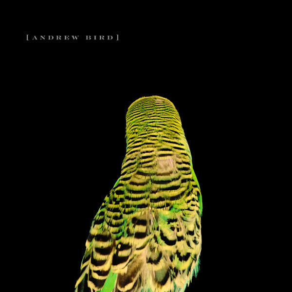 Andrew Bird - Armchair apocrypha (CD) - Discords.nl