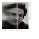 Andrew Combs - Dream pictures (LP) - Discords.nl