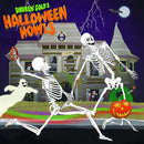 Andrew Gold - Andrew gold's halloween howls (LP) - Discords.nl
