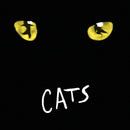Andrew Lloyd Webber - Cats (LP)