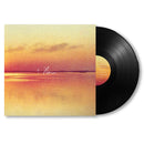 Andy Shauf - Norm (LP) - Discords.nl