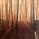 Anekdoten - A time of day (CD) - Discords.nl