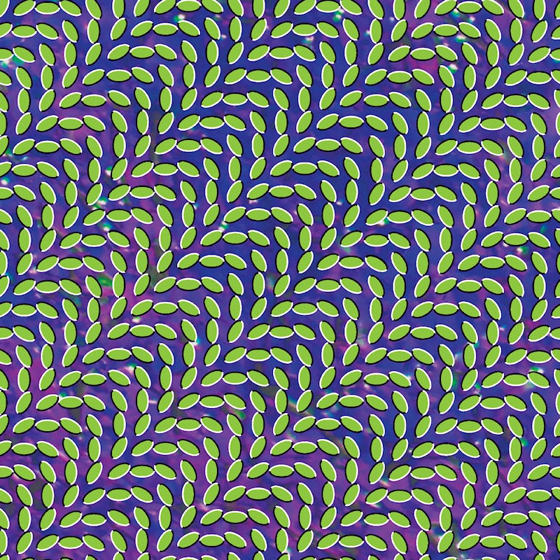 Animal Collective - Merriweather post pavillion (CD) - Discords.nl