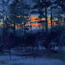 Animal Hospital - Shelf life (LP) - Discords.nl