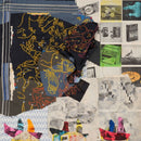 Animal Collective - Time skiffs (LP) - Discords.nl