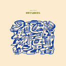 Anna Tivel - Outsiders (LP) - Discords.nl