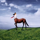 Annie Dirusso - Super pedestrian (LP)