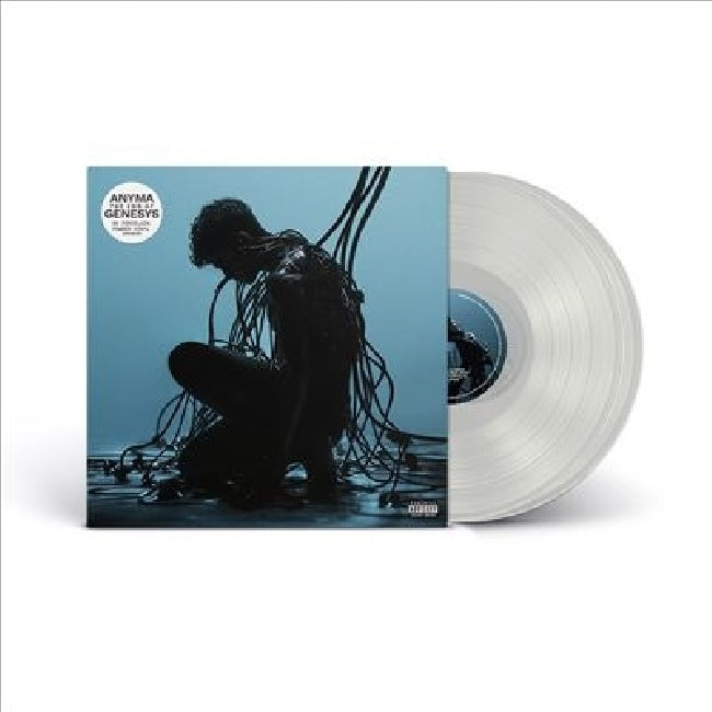 Anyma - The end of genesys (LP) - Discords.nl