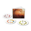 Aphex Twin - Selected ambient works volume ii (CD)