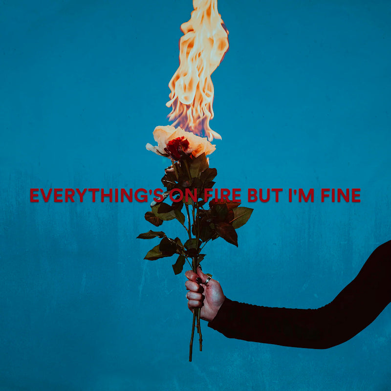 As December Falls - Everything's on fire but i'm fine (LP)