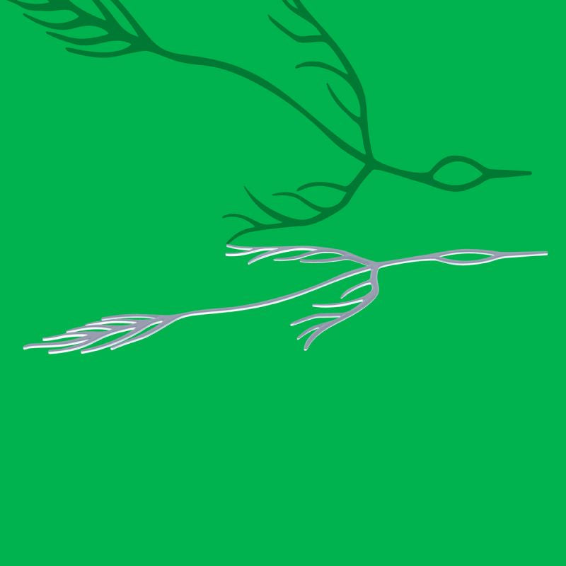 Astrid Sonne - Outside of your lifetime (LP) - Discords.nl