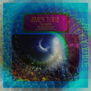 Avey Tare - Eucalyptus (CD) - Discords.nl