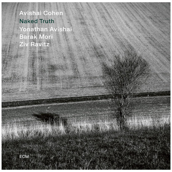 Avishai Cohen - Naked truth (LP) - Discords.nl