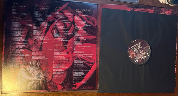 Epica - The Phantom Agony (LP) - Discords.nl