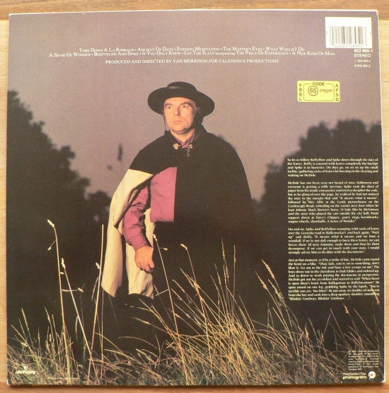Van Morrison - A Sense Of Wonder (LP Tweedehands)