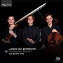 Van Baerle Trio - Beethoven: complete piano trios vol.2 (CD) - Discords.nl