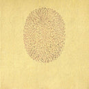 Devendra Banhart - Nino rojo (CD) - Discords.nl