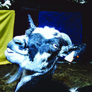 Barely Autumn - Day trip to the petting zoo (LP) - Discords.nl
