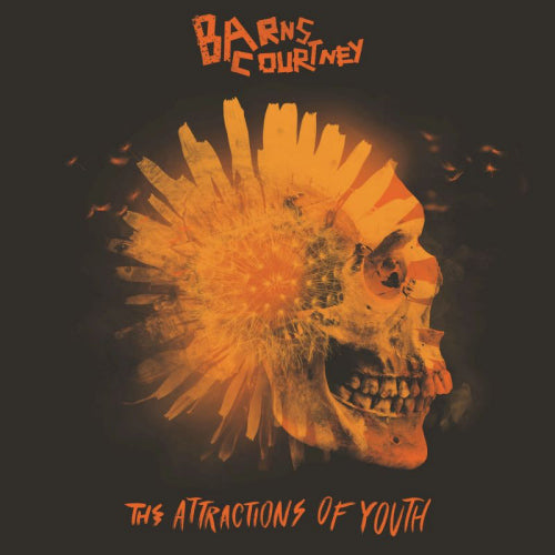 Barns Courtney - Attractions of youth (CD) - Discords.nl