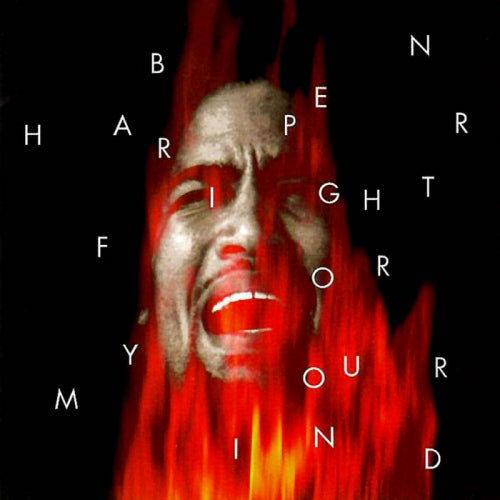 Ben Harper - Fight for your mind (LP) - Discords.nl