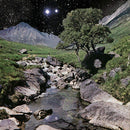 Beta Band - Beta band (LP) - Discords.nl