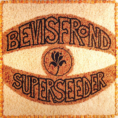 Bevis Frond - Superseeder (LP) - Discords.nl