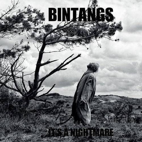 Bintangs - It's a nightmare (LP) - Discords.nl