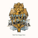 Birds That Change Colour - Nova albion (LP) - Discords.nl