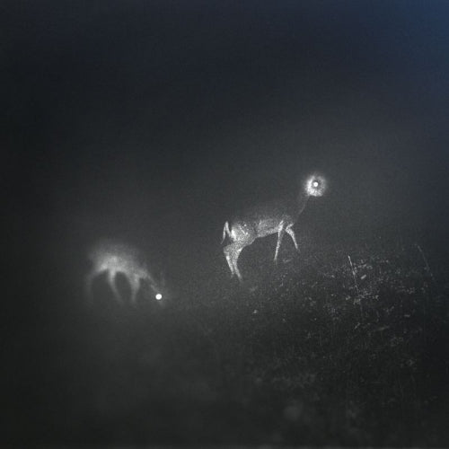 Bliss Signal - Bliss signal (LP) - Discords.nl