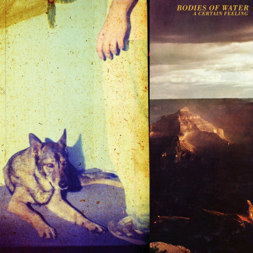 Bodies Of Water - A certain feeling (LP) - Discords.nl