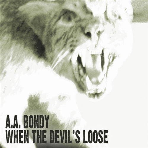A.a. Bondy - When the devil's loose (CD) - Discords.nl