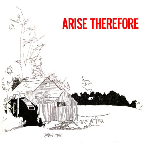 Bonnie Prince Billy - Arise therefore (LP) - Discords.nl