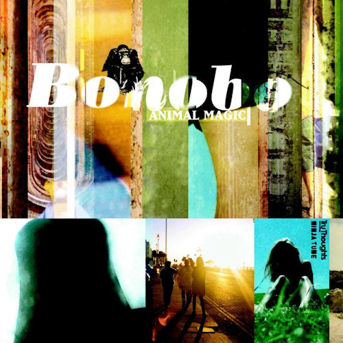 Bonobo - Animal magic (CD) - Discords.nl