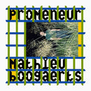 Mathieu Boogaerts - Promeneur (LP) - Discords.nl