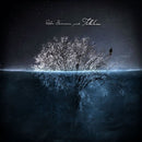 Robin Borneman - Folklore ii (LP) - Discords.nl