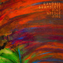 Randall Bramblett - Pine needle fire (CD) - Discords.nl