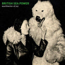 British Sea Power - Machineries of joy (LP) - Discords.nl