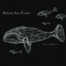 British Sea Power - Sea of brass (CD) - Discords.nl